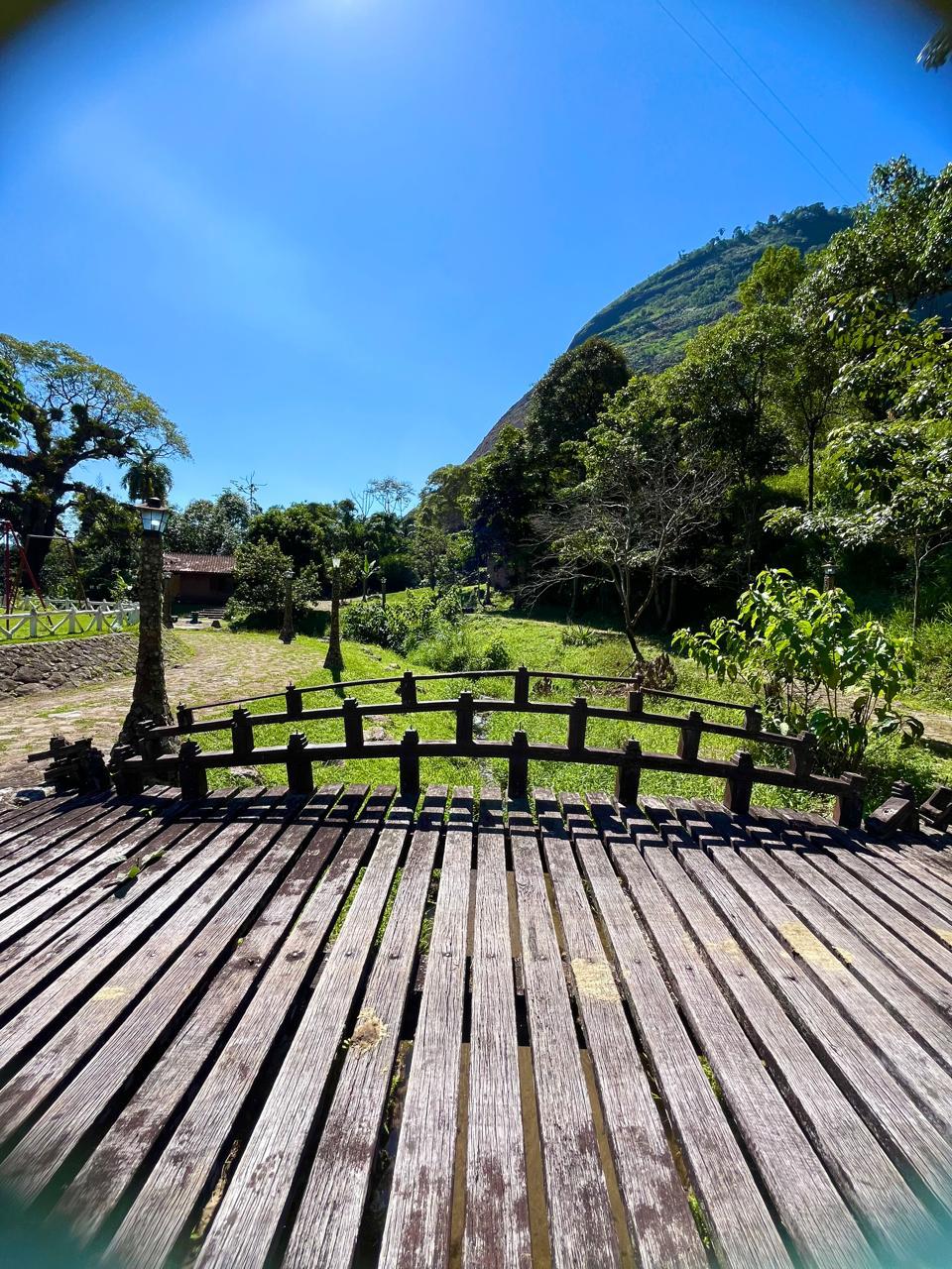 Deck de madeira e ponte entre a vegetação